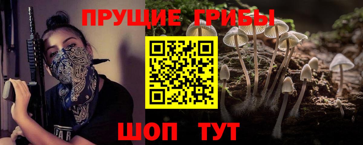 Псилоцибиновые грибы мухоморы  Вход с VPN  Тверь 